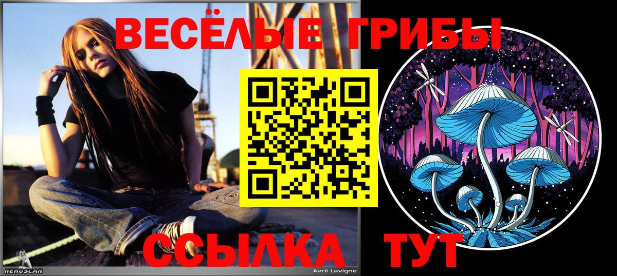 Галлюциногенные грибы Psilocybine cubensis  Вход с VPN  Ивантеевка  Галлюциногенные грибы мицелий 